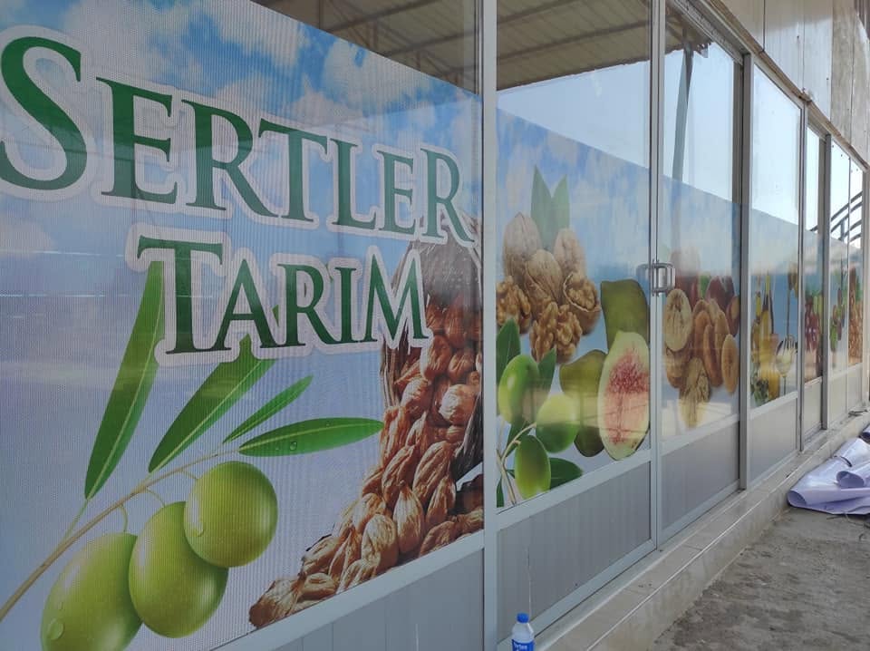 Zeytinlik