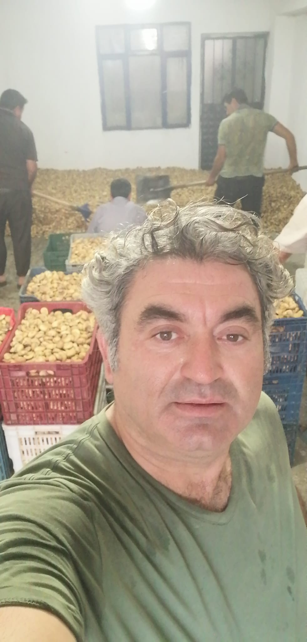 Sertler Tarım Görsel